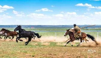 蒙古精神在线观看,在线观看之旅 第3张 蒙古精神在线观看,在线观看之旅 第3张